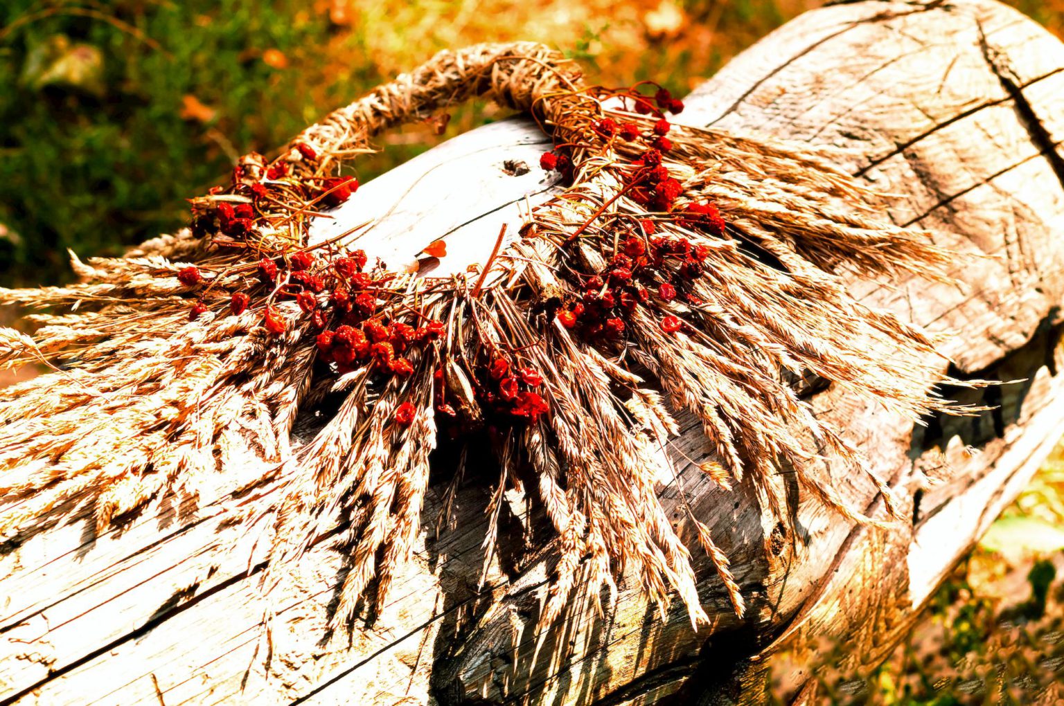 Slavic Magic: Rituals, Spells, and Herbs